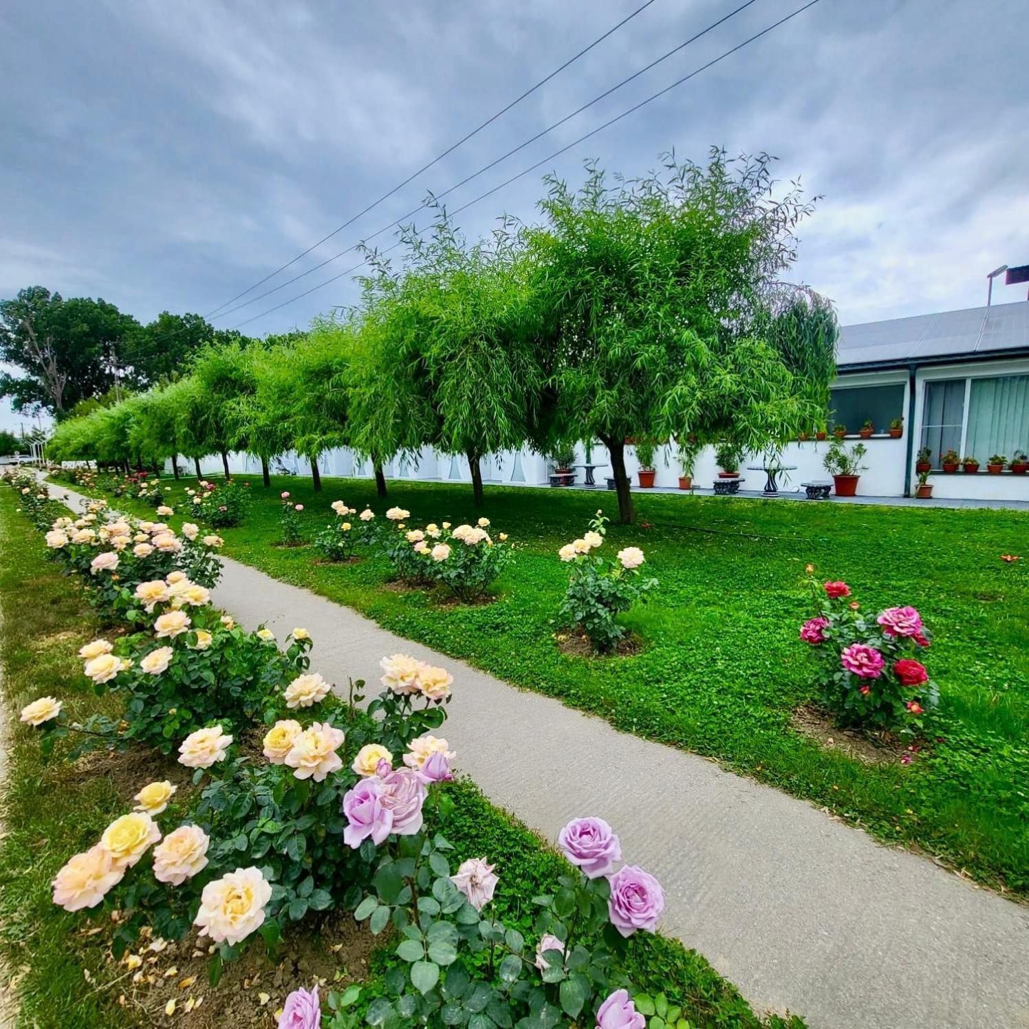 Royal Park Complex Hotel Bascov Kültér fotó